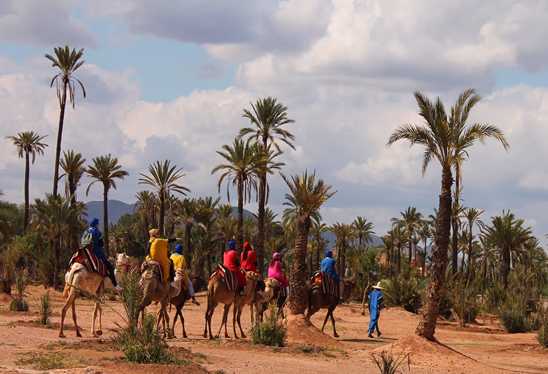 Half Day Marrakech Camel trekking
