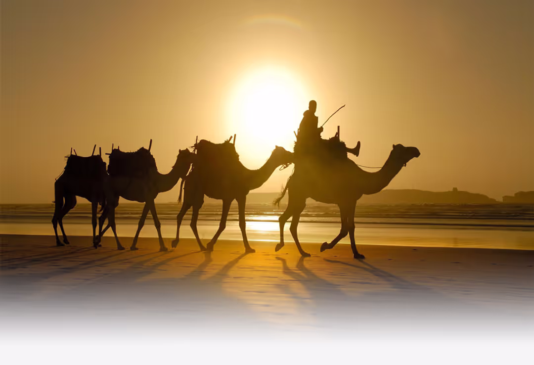 Private day trip to Essaouira from Marrakech – 1 Day