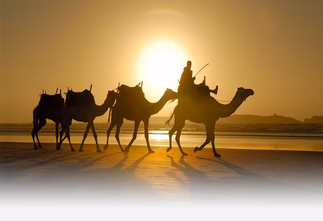 Private day trip to Essaouira from Marrakech – 1 Day